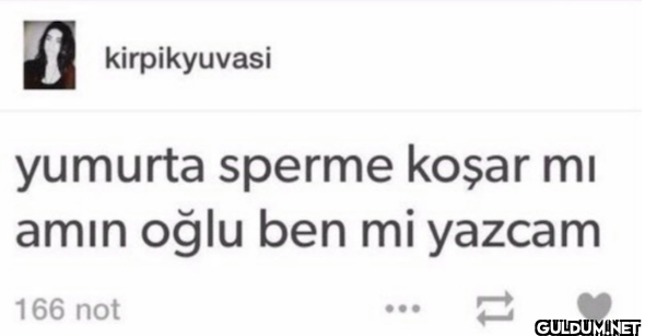 kirpikyuvasi yumurta...