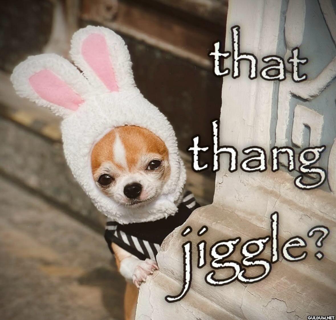 that thang jiggle?