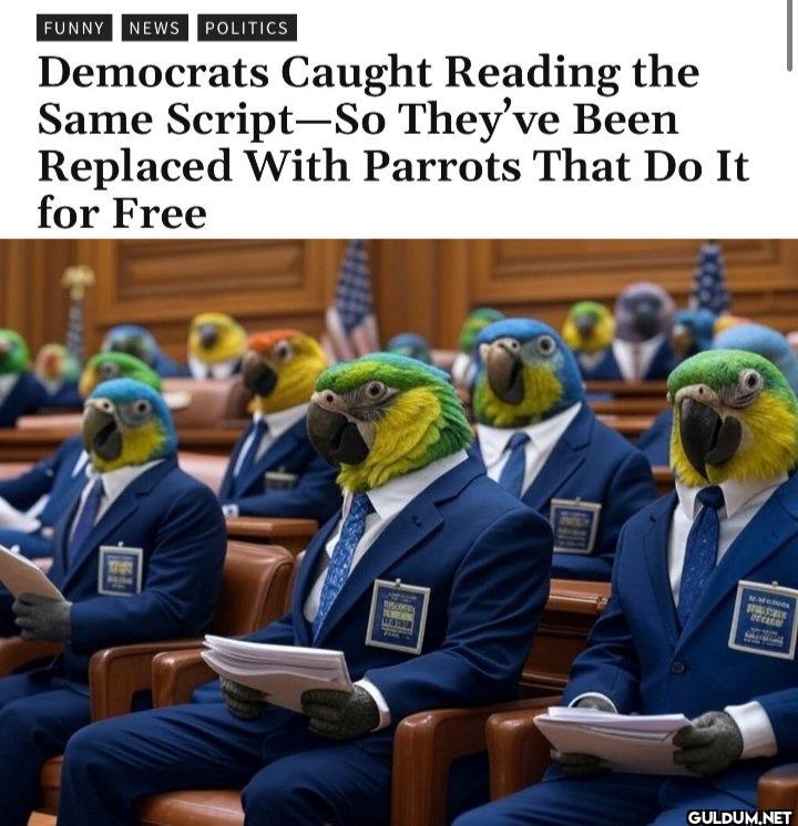 👏 👏  cc: xcitizenjournal  ...