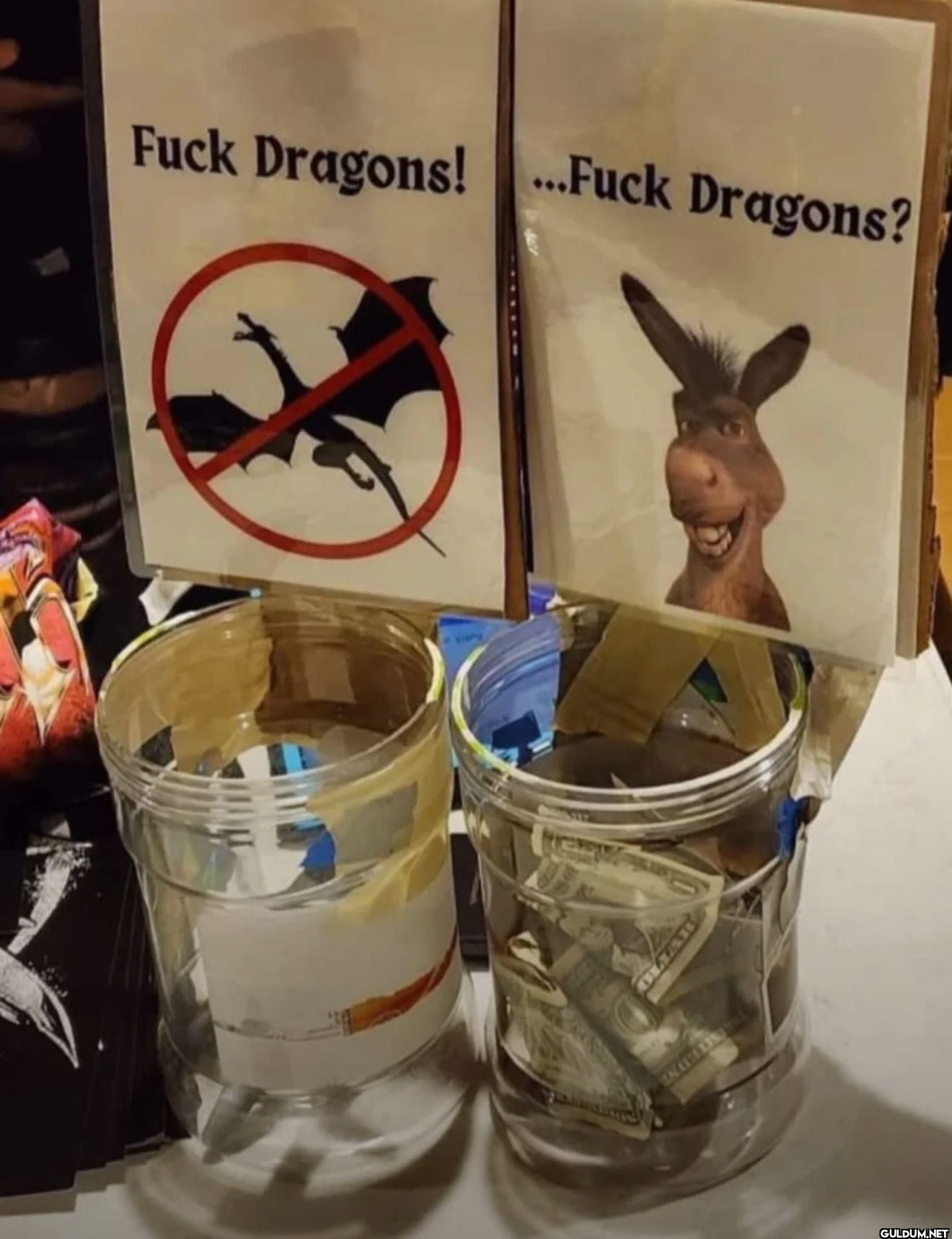 Fuck Dragons! ...Fuck Dragons?