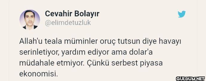 Allah'u teala müminler...