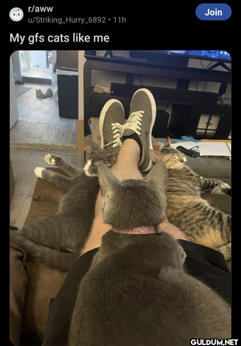 r/aww u/Striking...