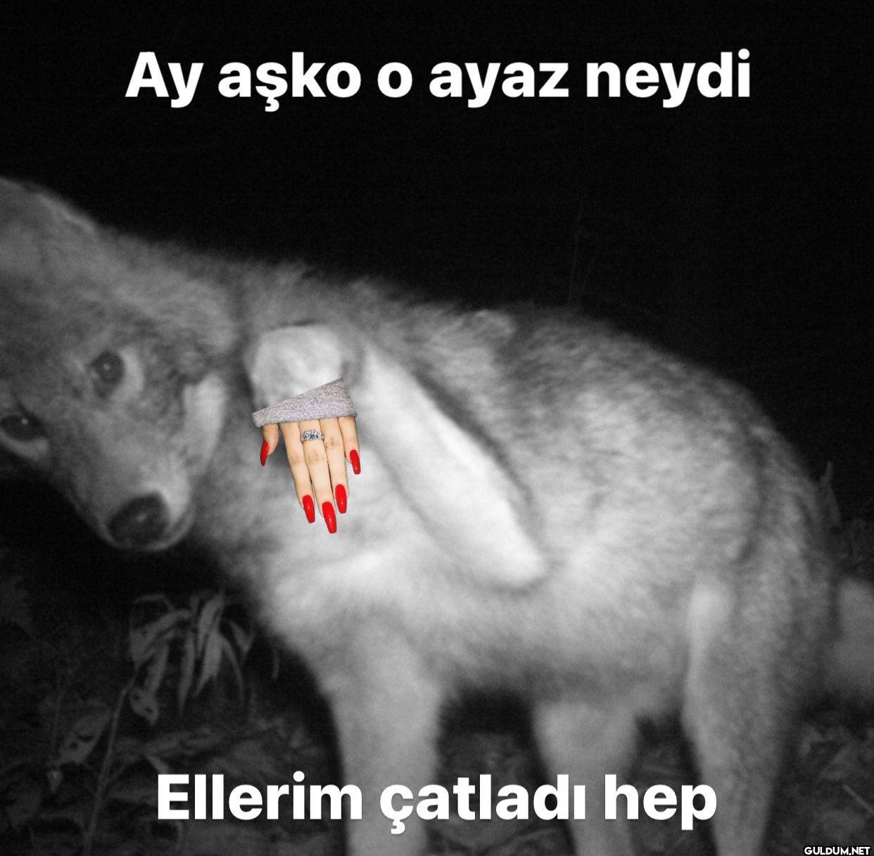 Ay aşko o ayaz neydi...