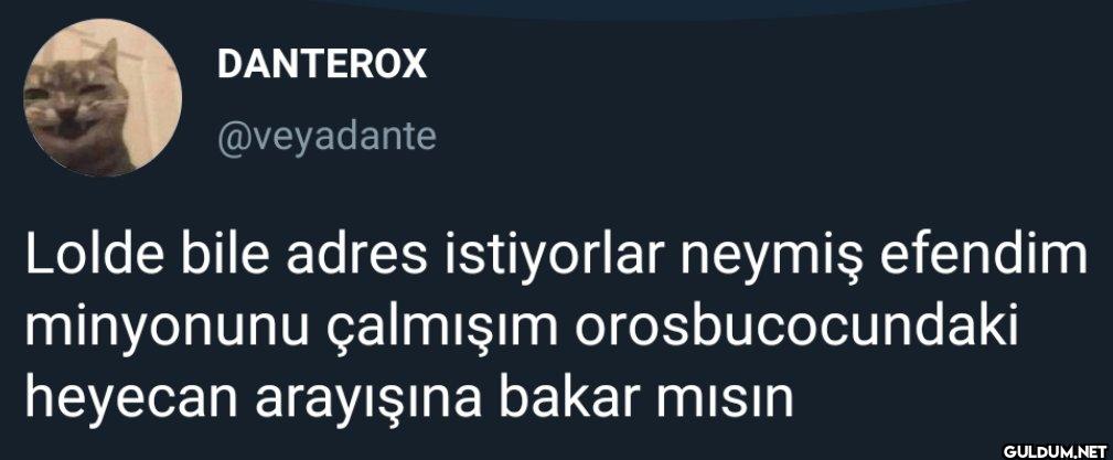 Lolde bile adres...