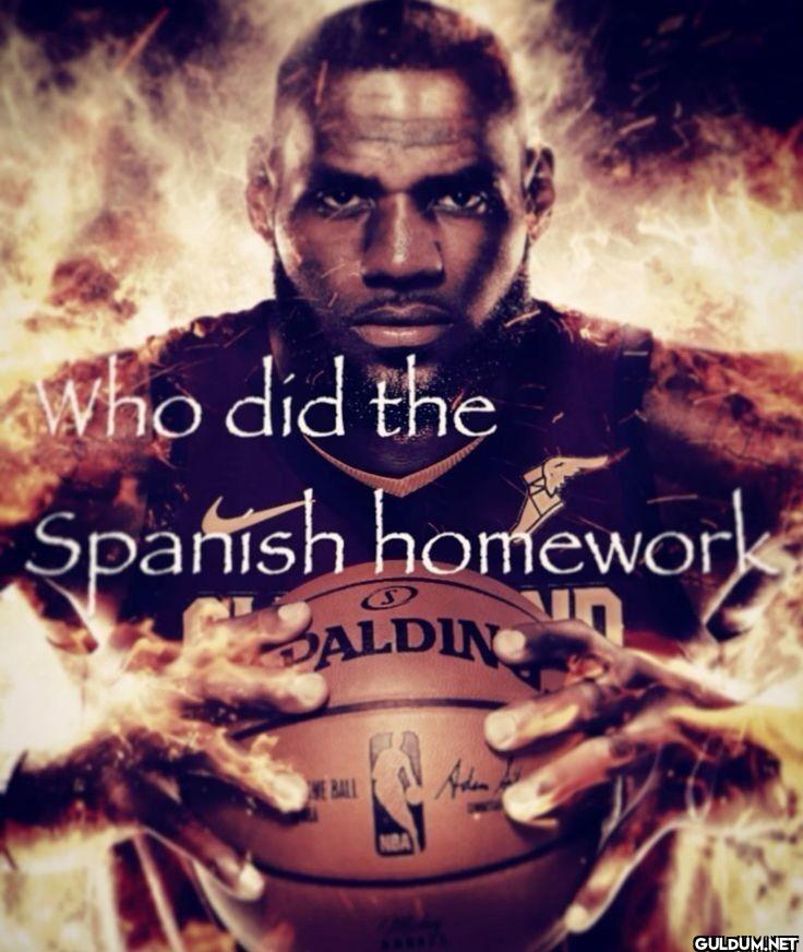 Who did the Spanish homework