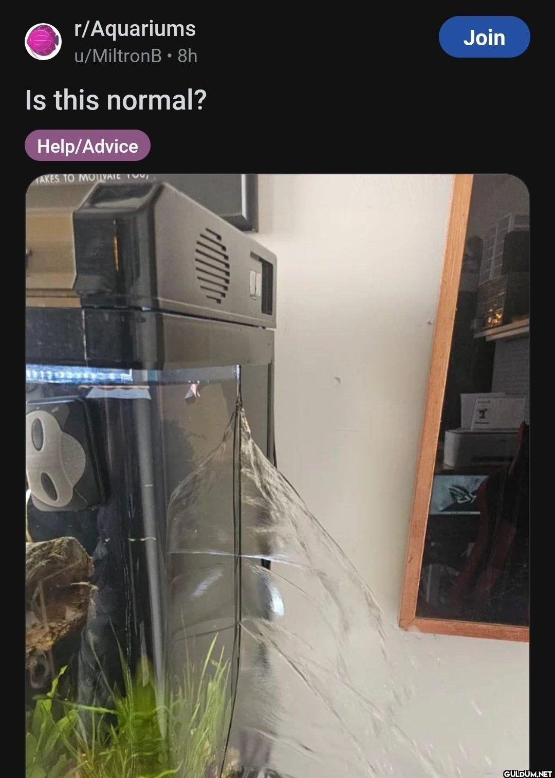 r/Aquariums u/MiltronB⚫ 8h...