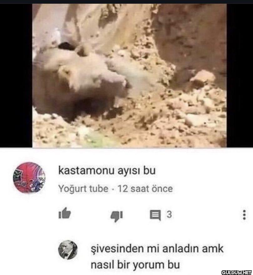 kastamonu ayısı bu Yoğurt...