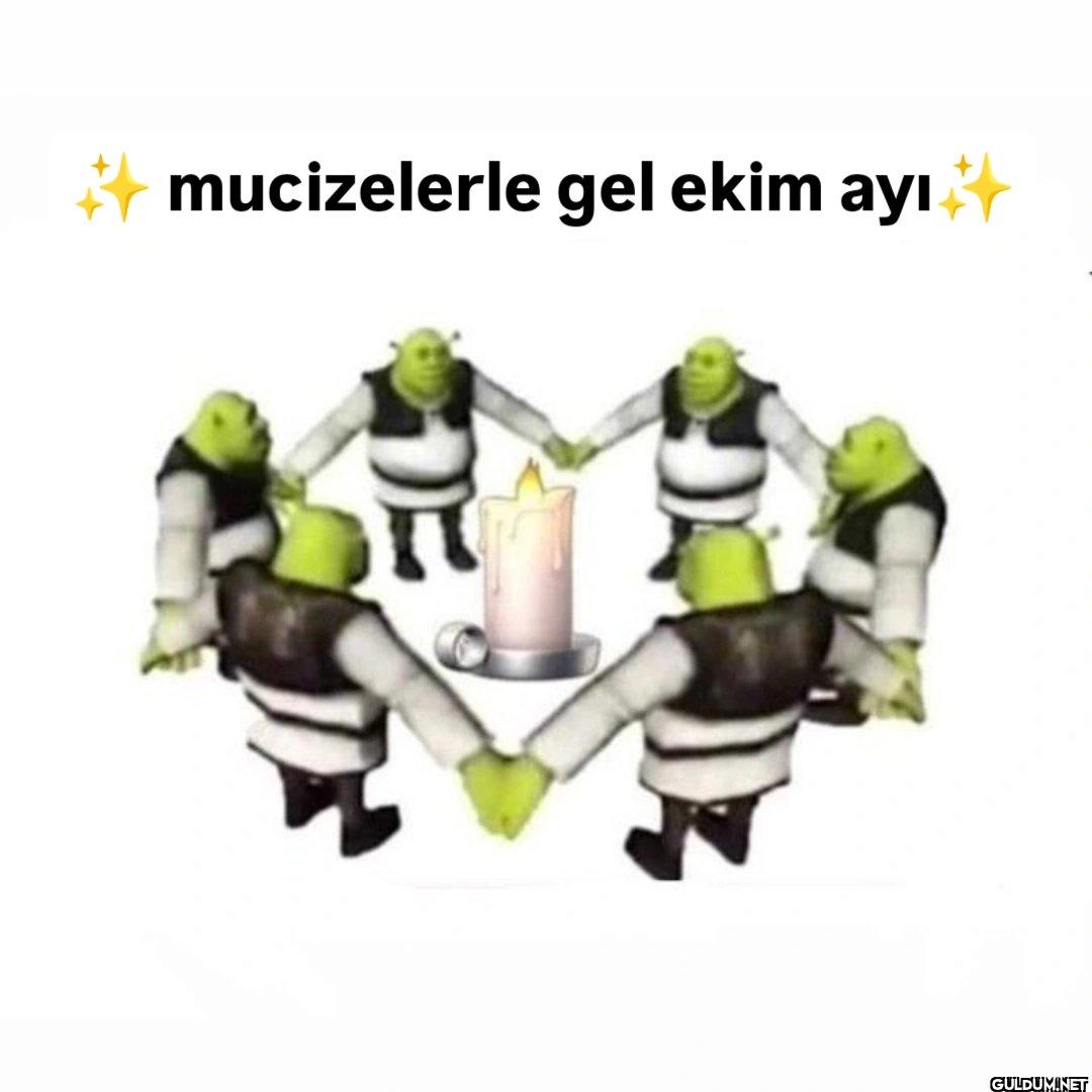 mucizelerle gel ekim ayı +