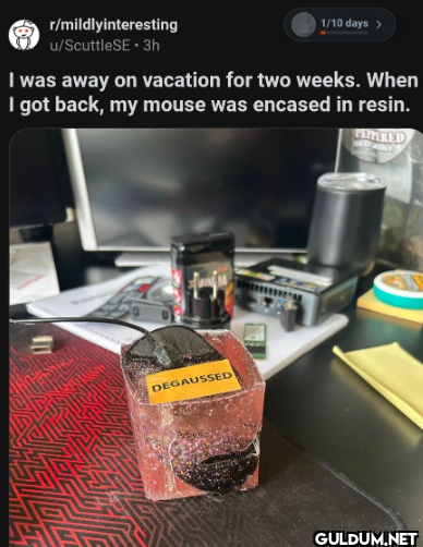 r/mildlyinteresting...