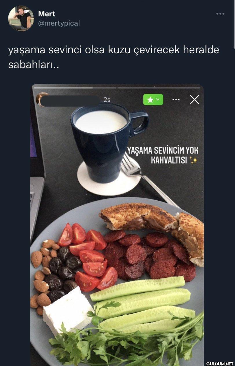 yaşama sevinci olsa kuzu...