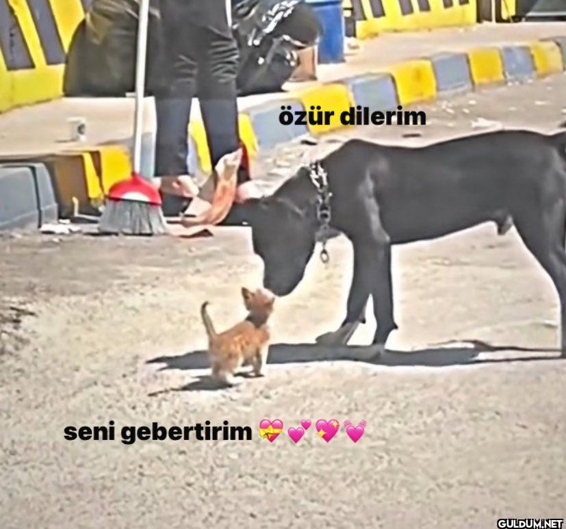 özür dilerim seni gebertirim ♥♥♥♥