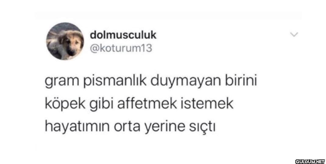 gram pismanlık duymayan...