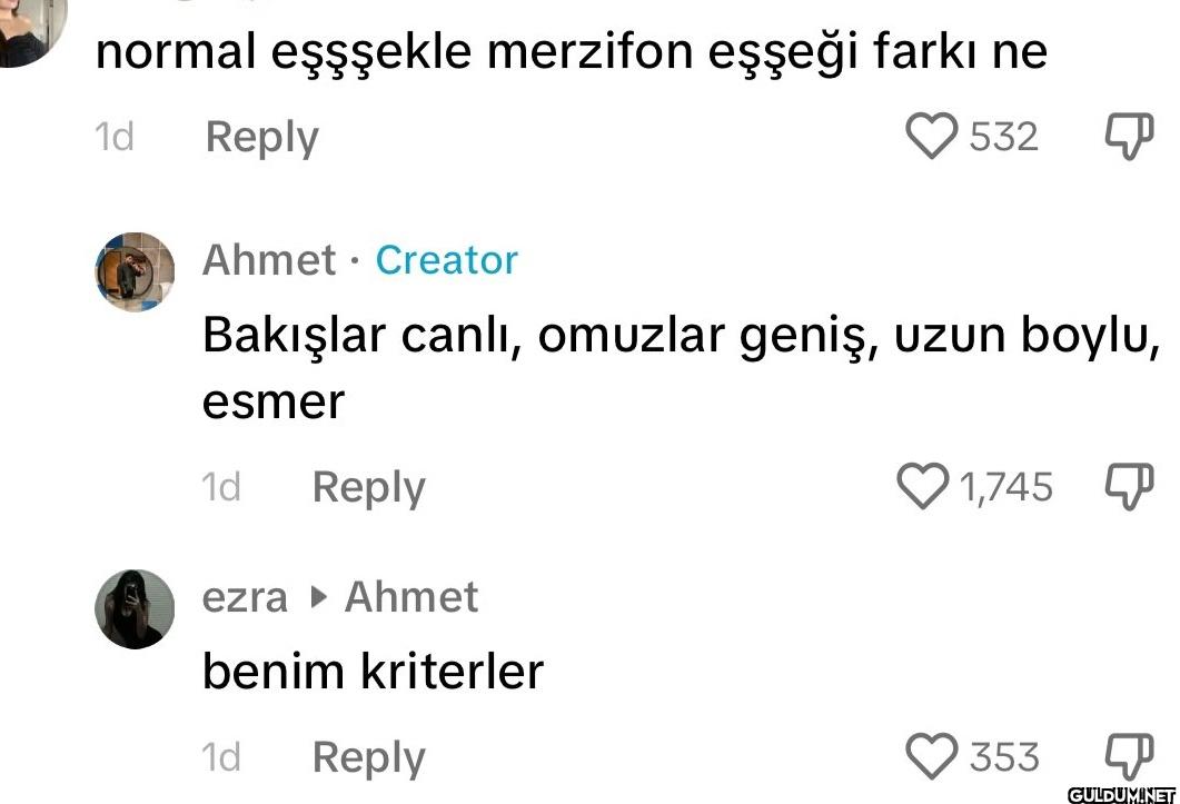normal eşşşekle merzifon...