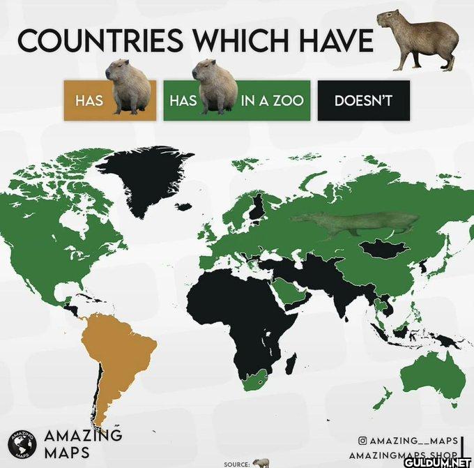 5. Which countries have...