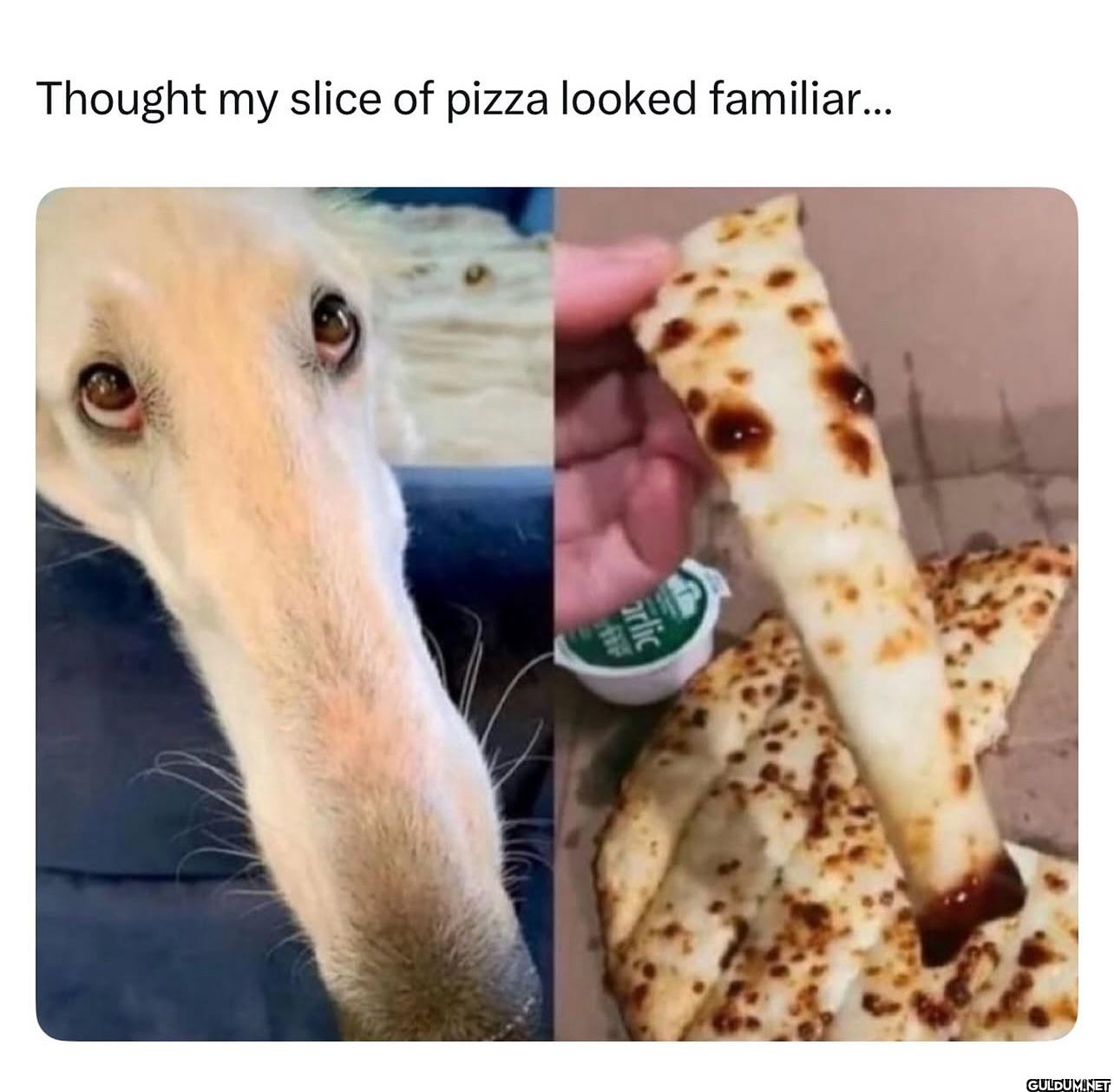 Thought my slice of pizza...