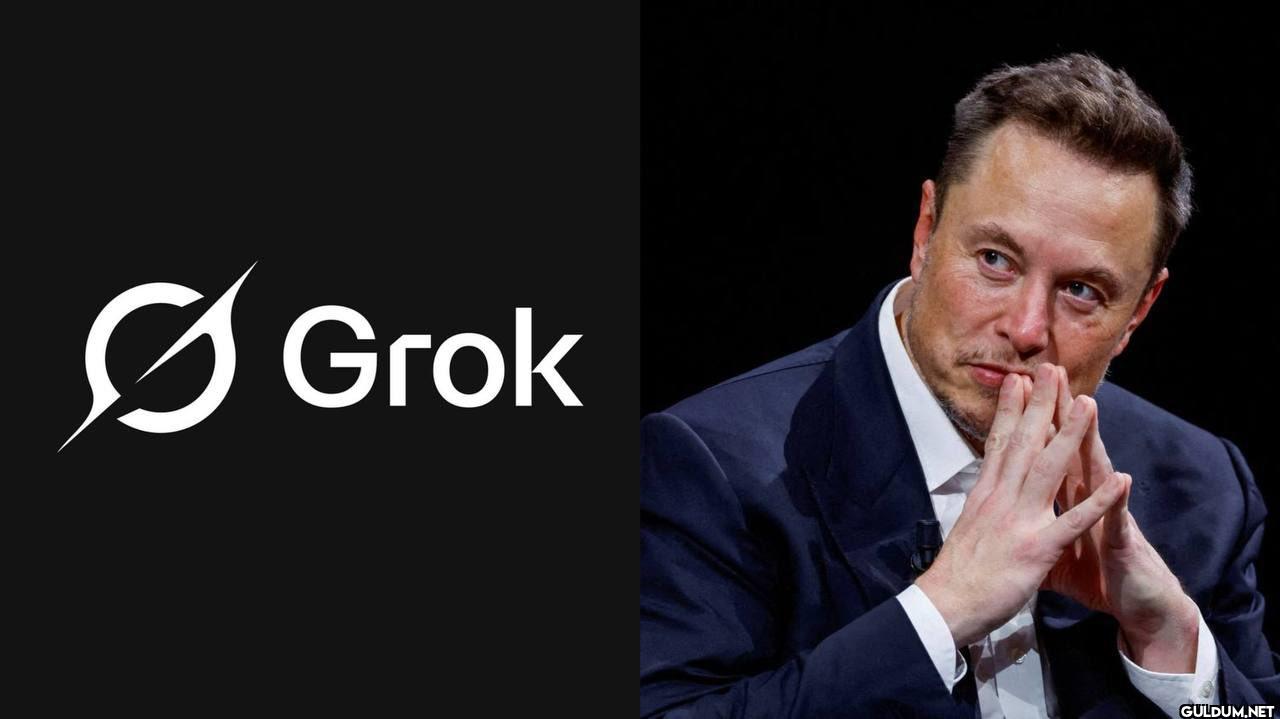 Elon Musk: "Grok is...