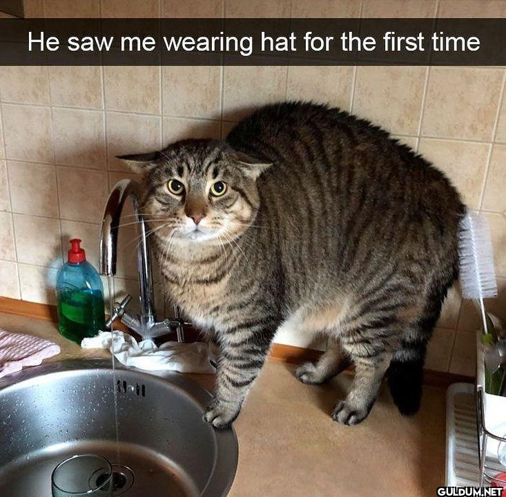 He saw me wearing hat for...