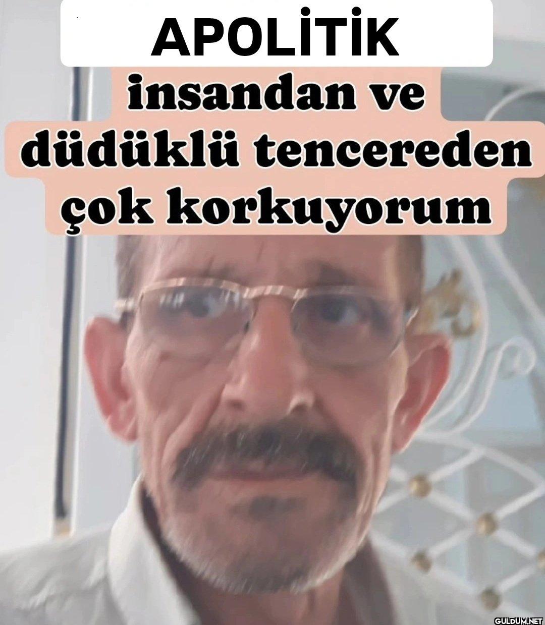 APOLİTİK insandan ve...