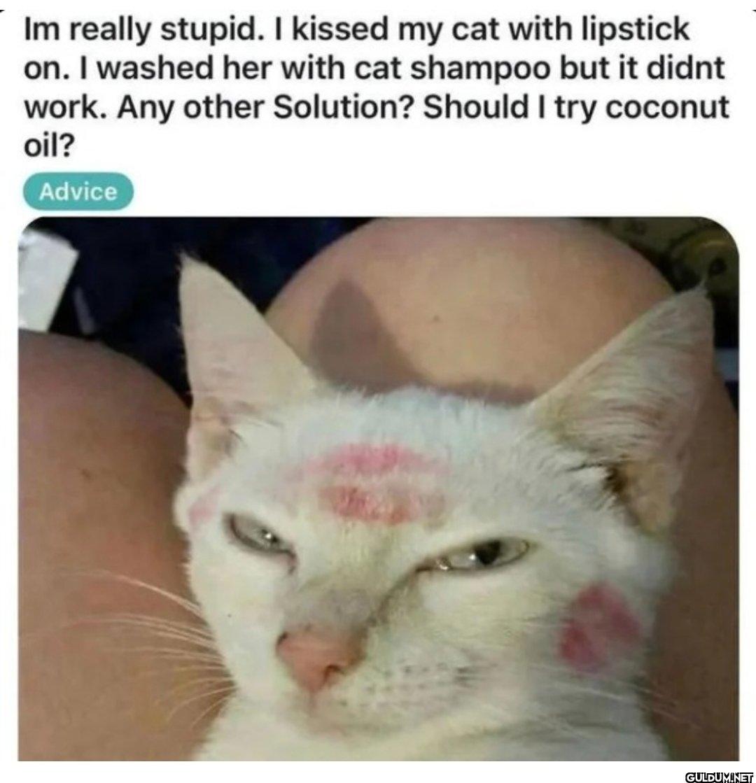 Better sleep with one eye...