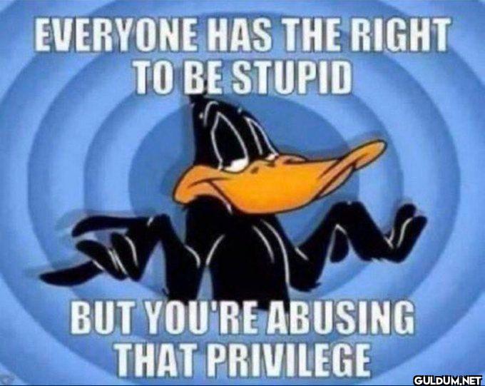 EVERYONE HAS THE RIGHT TO...