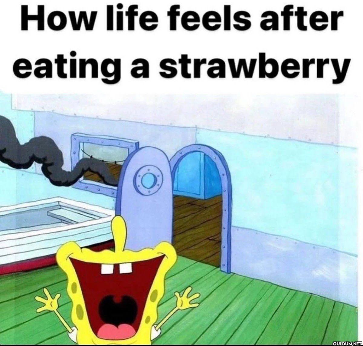 How life feels after...