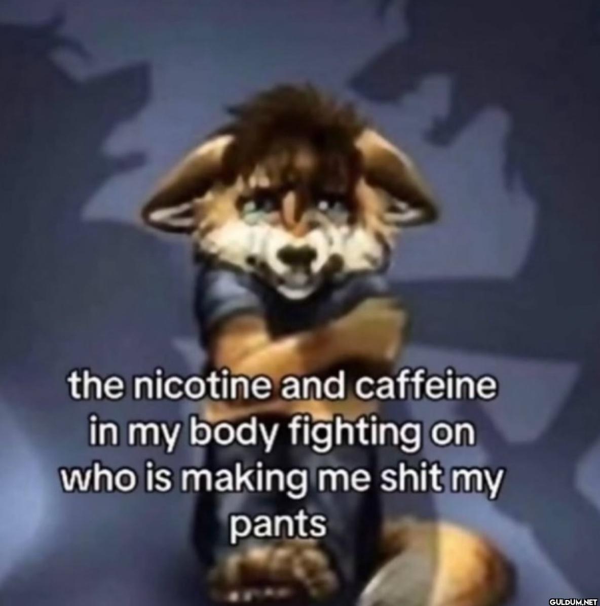 the nicotine and caffeine...