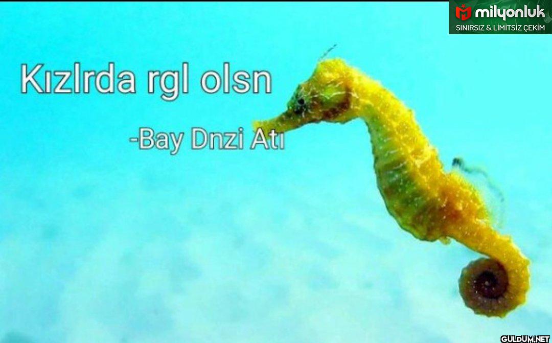 Kızırda rgl olsn -Bay Dnzi...