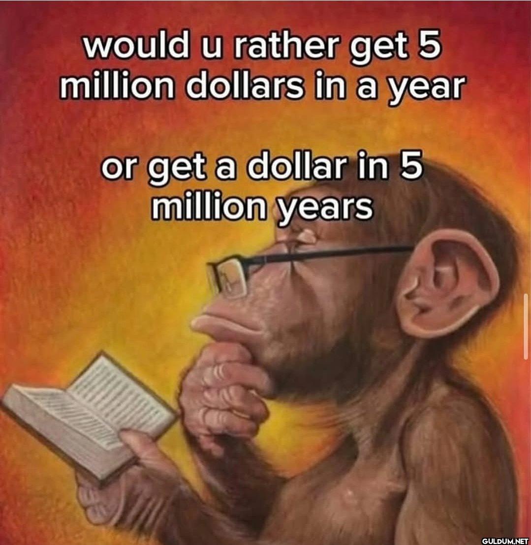 🤣    would u rather get 5...