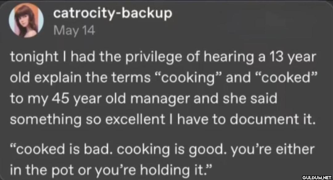 catrocity-backup May 14...