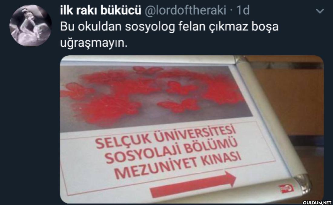 · 1d Bu okuldan sosyolog...