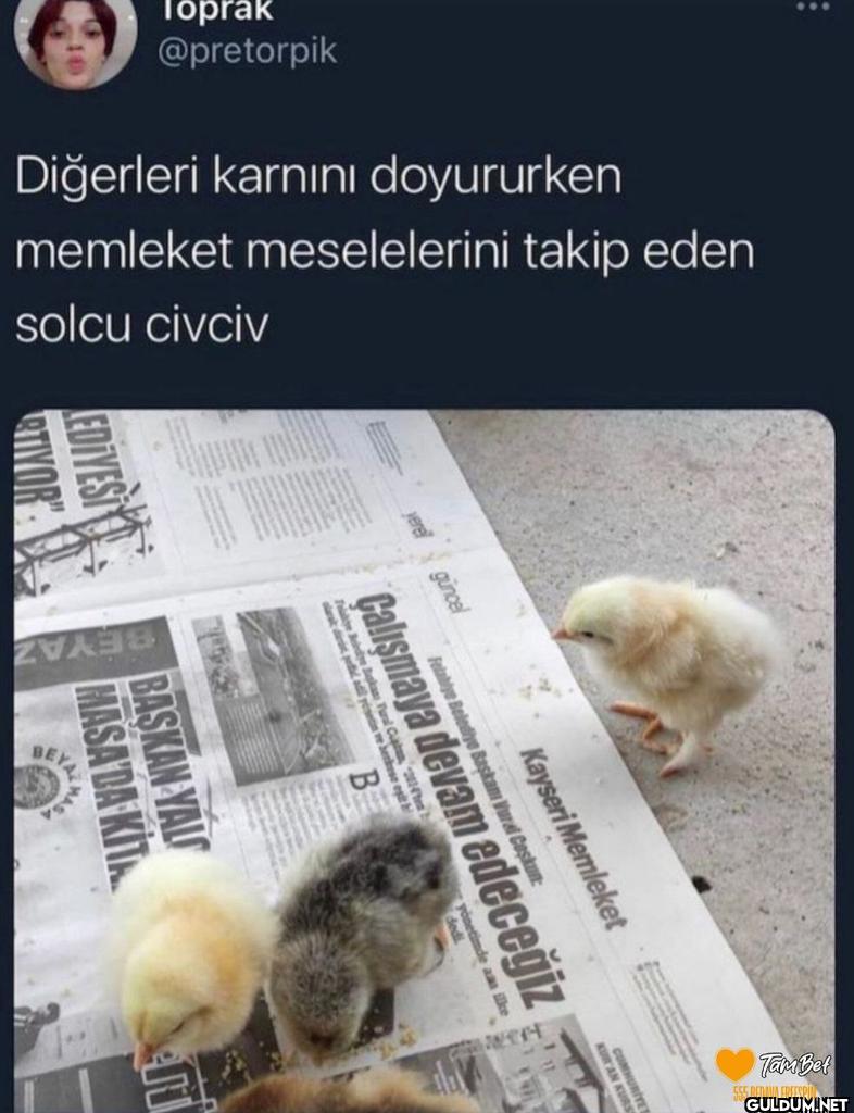 Toprak memleket...