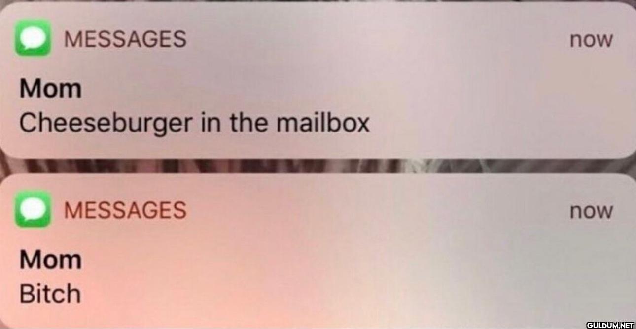 MESSAGES Mom Cheeseburger...