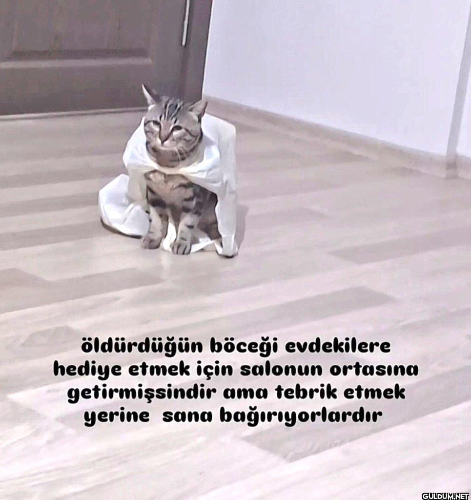 öldürdüğün böceği...