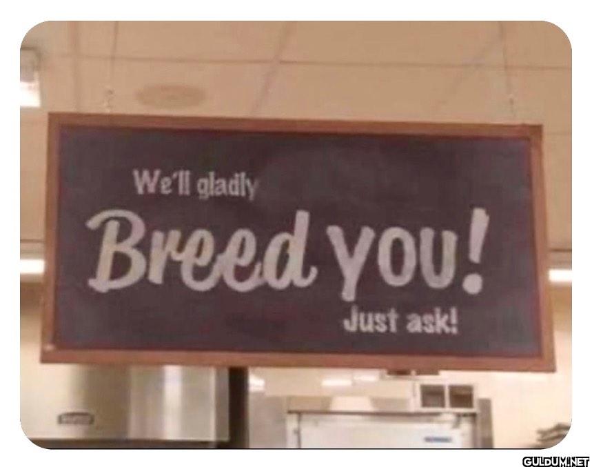 We'll gladly Breed you! Just ask!