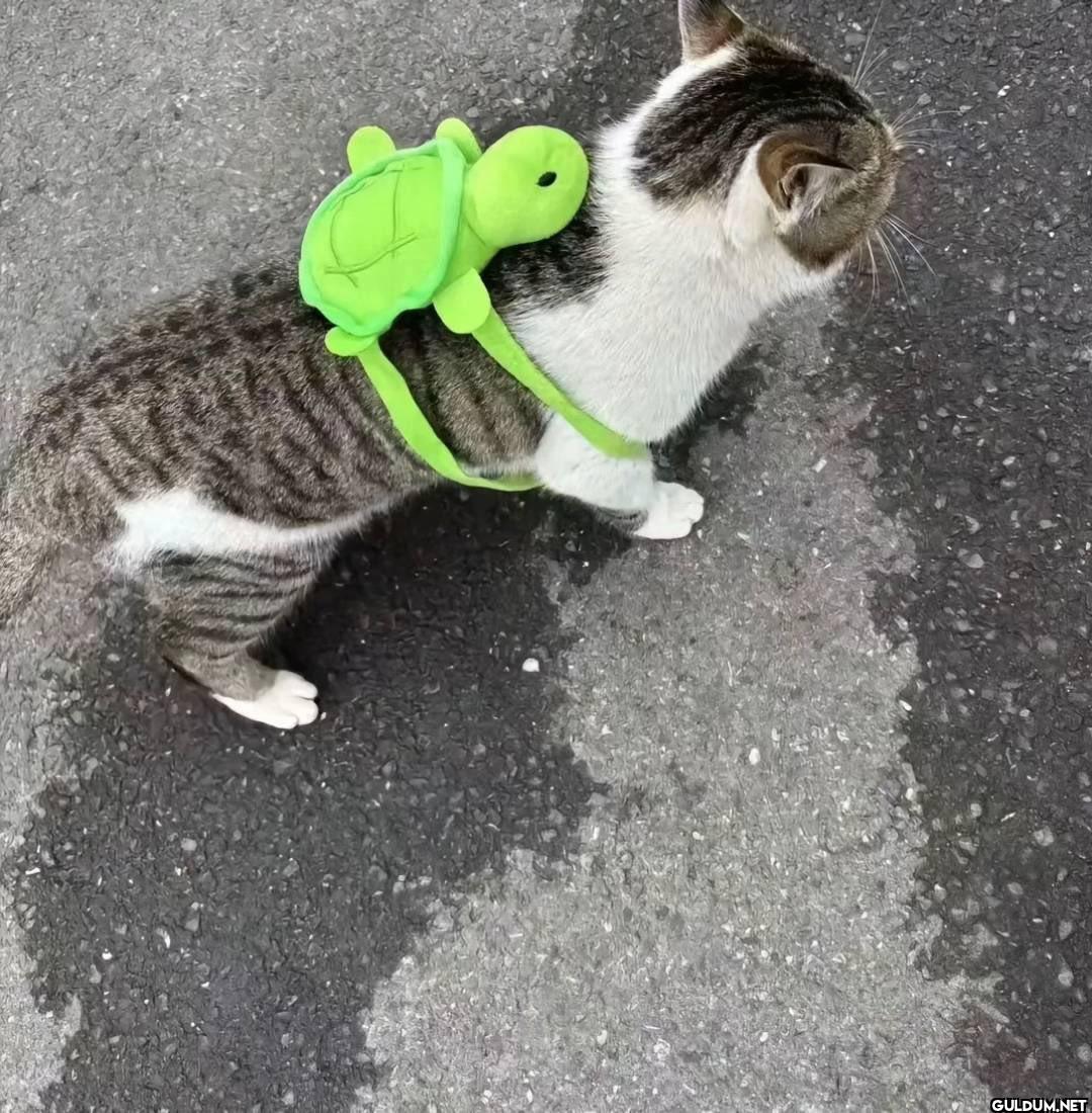 İstanbul’da sırtında...
