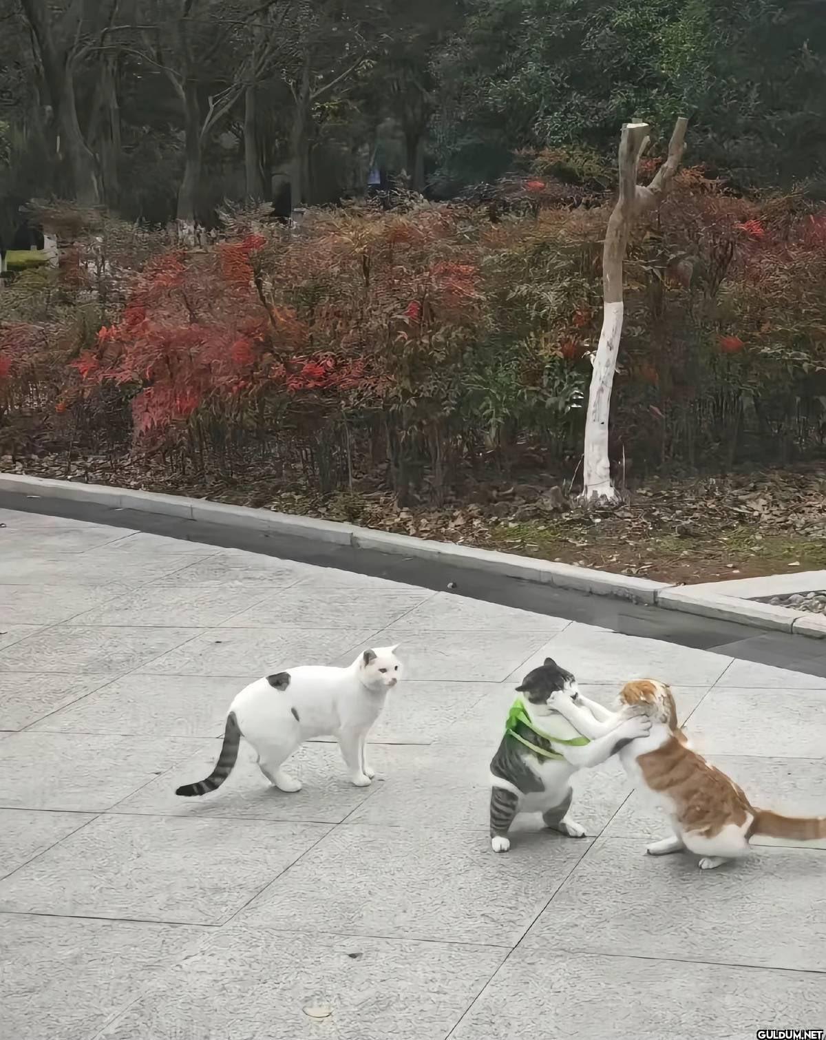 İstanbul’da sırtında...