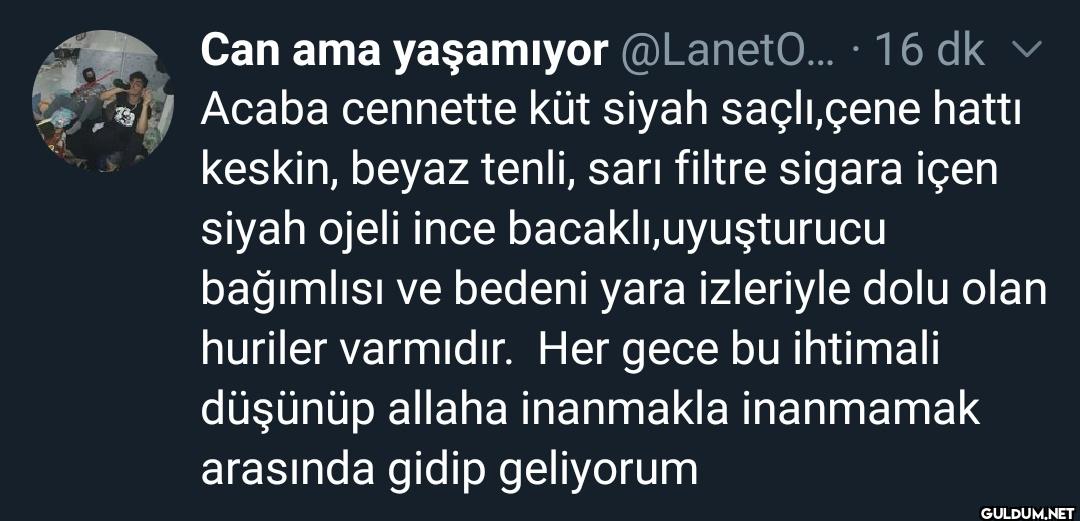 dk v Acaba cennette küt...