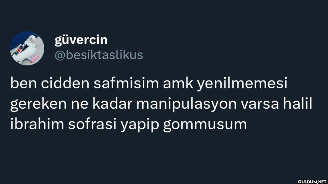 ben cidden safmisim amk...