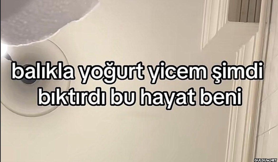 balıkla yoğurt yicem şimdi...