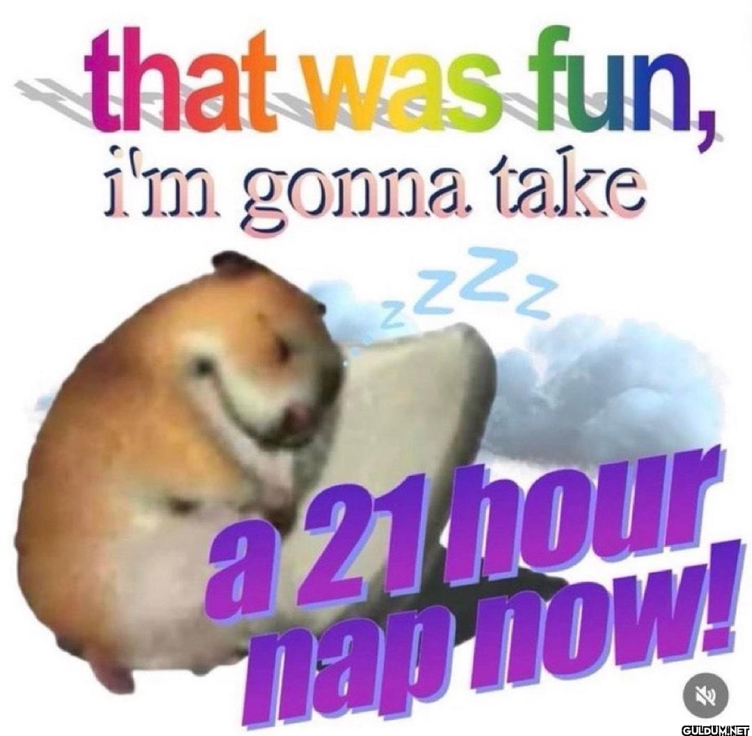 that was fun, i'm gonna...