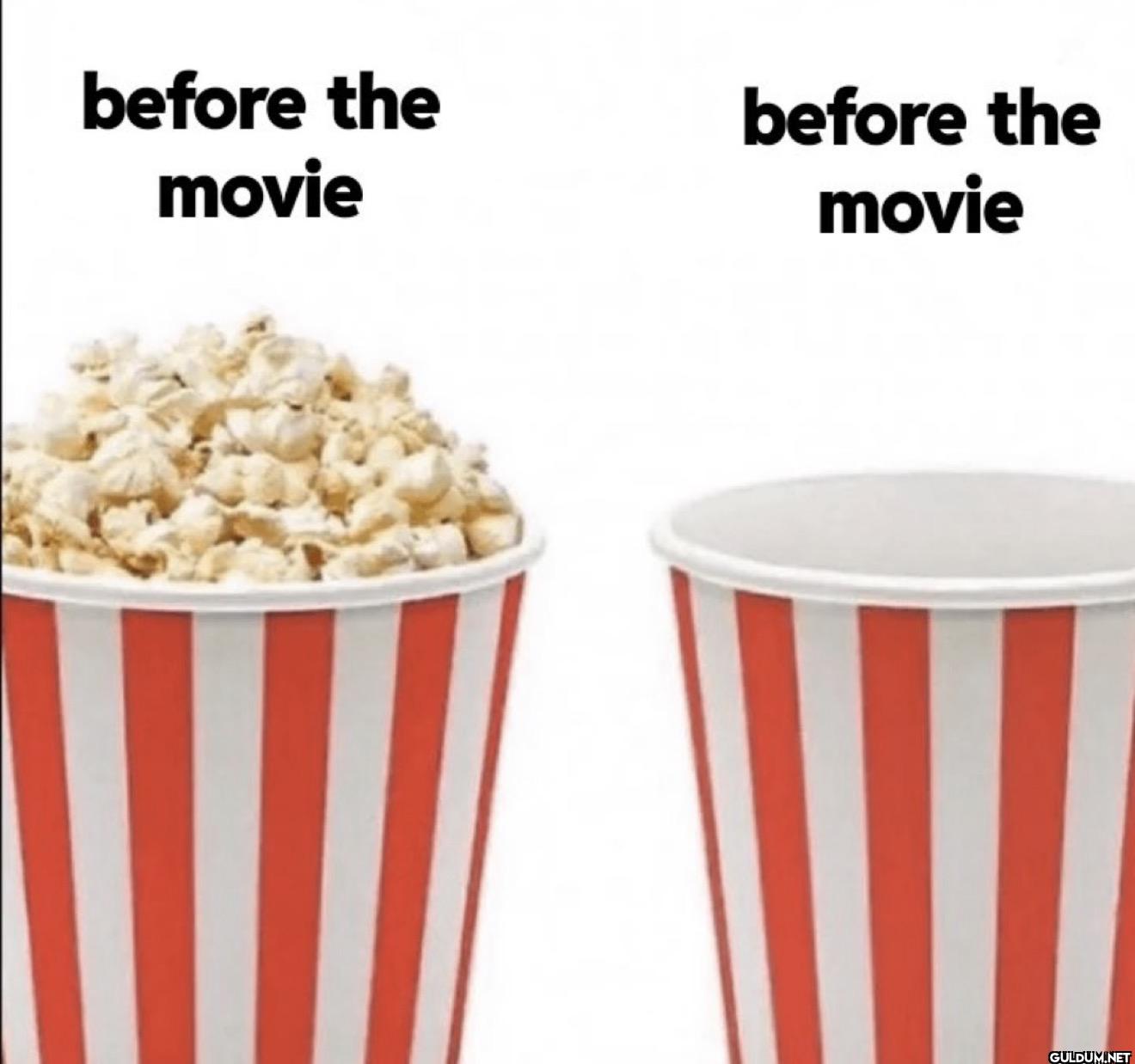 before the movie before the movie