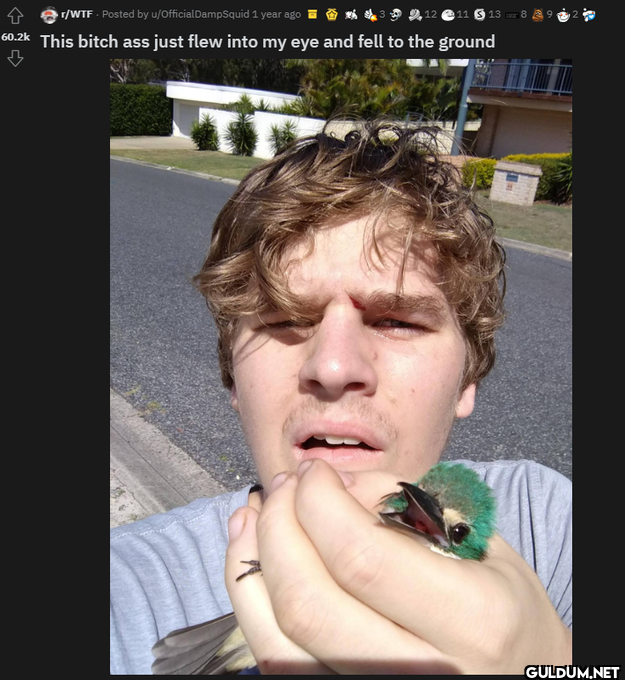r/WTF. Posted by...