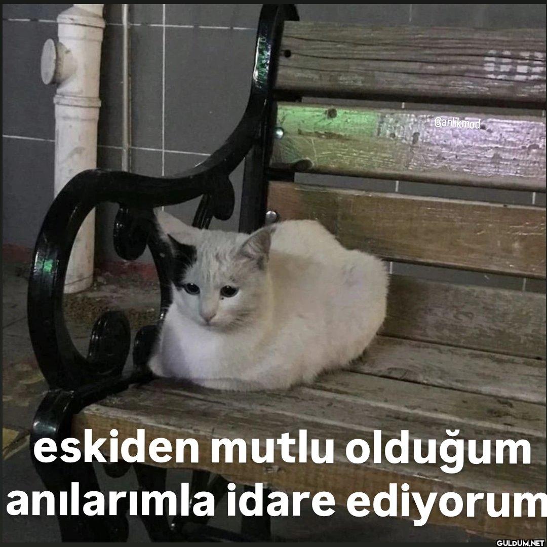 Banlikmod eskiden mutlu...