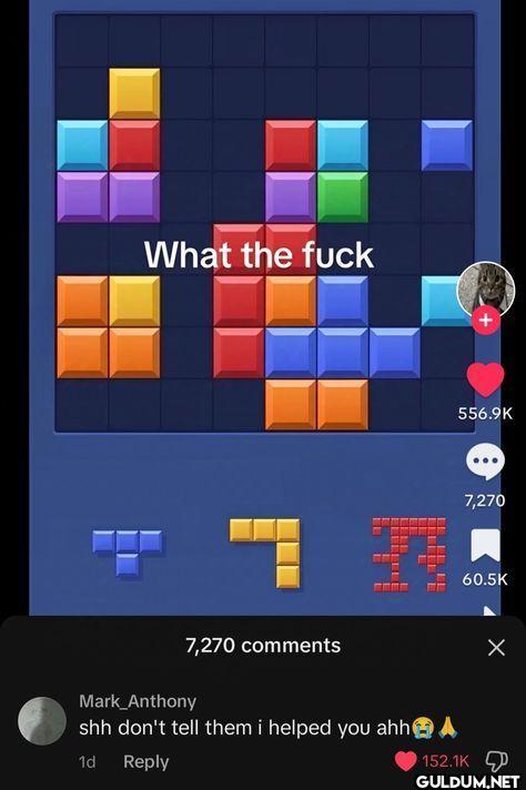 What the fuck 556.9K 7,270...