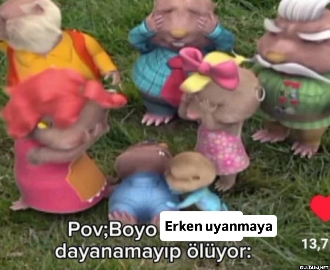 ง Erken uyanmaya 13,7 Pov;...