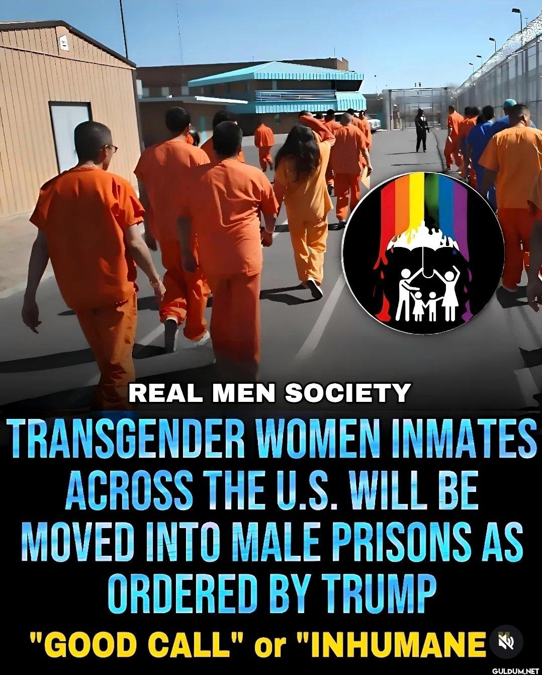 Good call or Inhumane?   ...