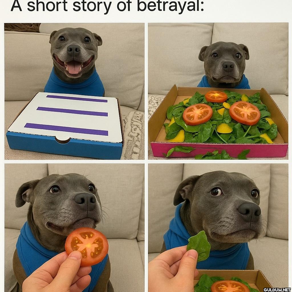 A short story of betrayal: