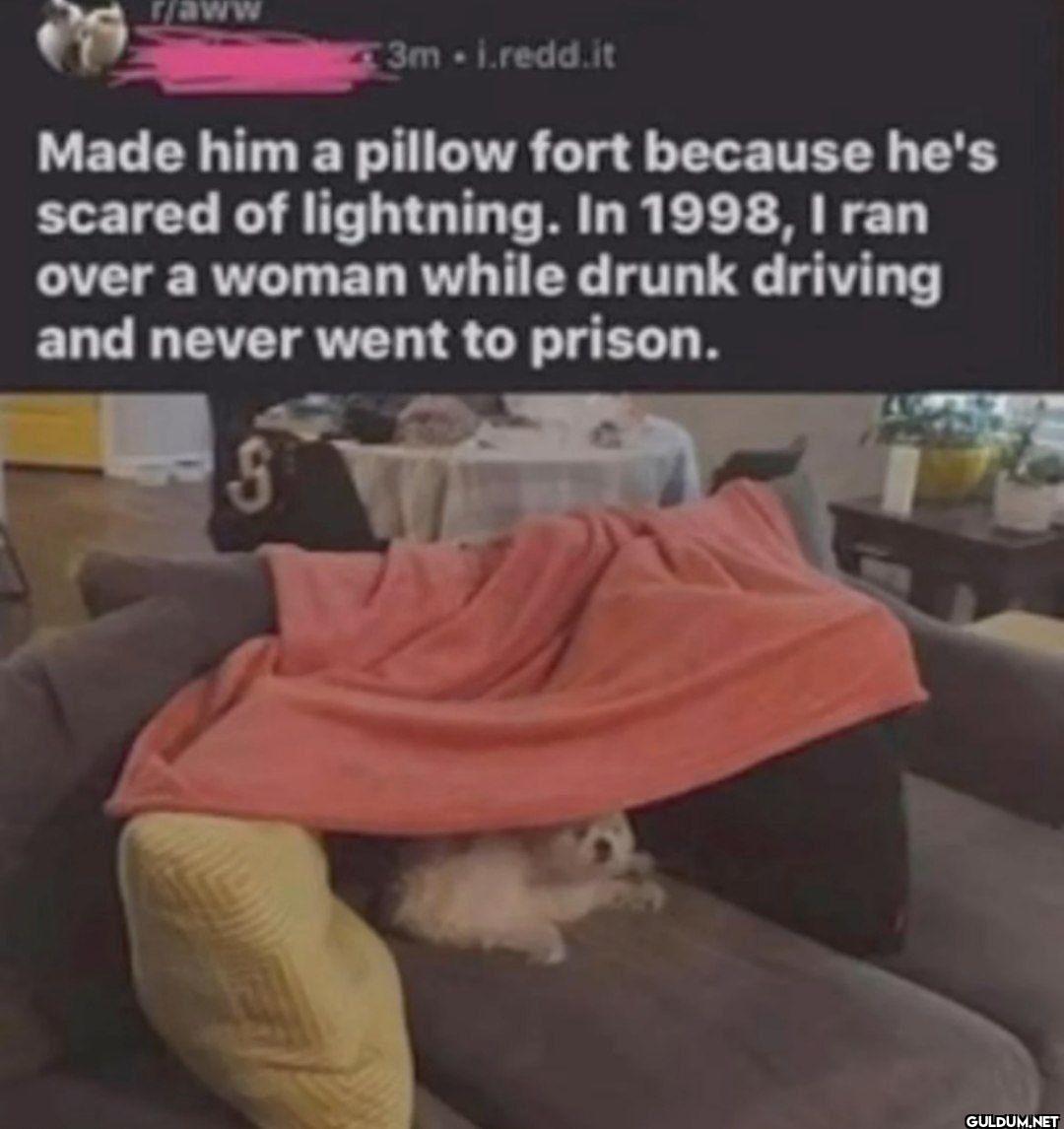 aww 3m i.redd.it Made him...
