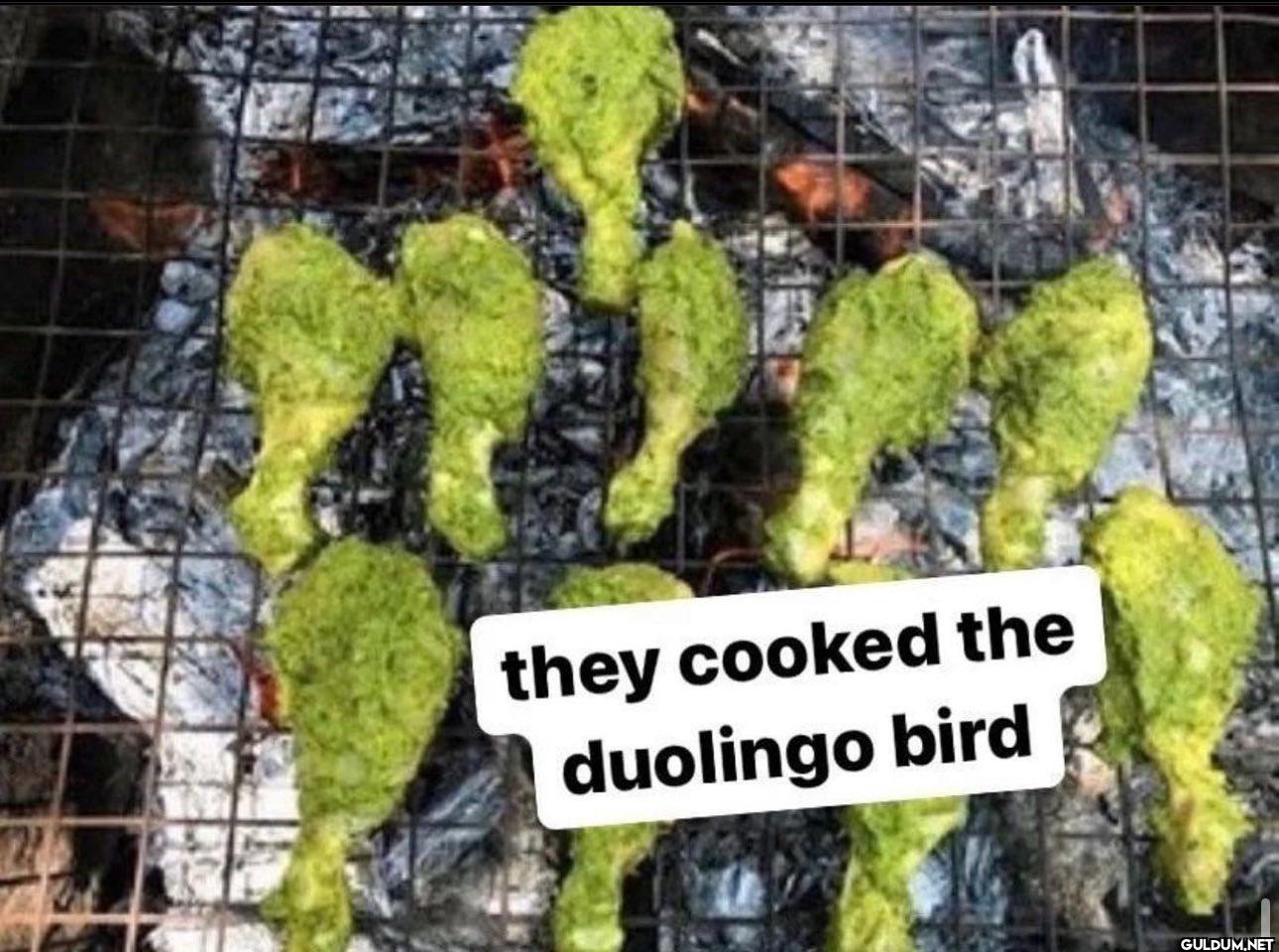 ︎ ︎ ︎ ︎    they cooked the...