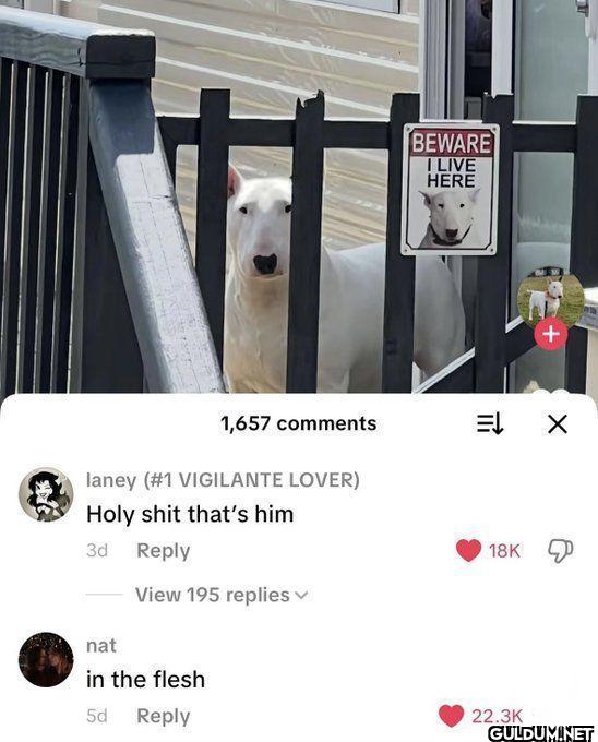 Aura.    1,657 comments...